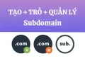 Cách tạo Subdomain và thêm Subdomain vào Hosting Cpanel
