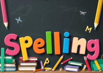 Hướng dẫn bật kiểm tra lỗi chính tả trong WordPress?